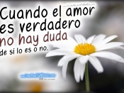 Amor sin dudas