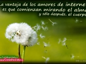 Ciber amor