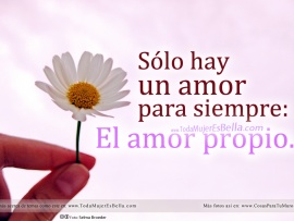 El amor propio (pulsa para ver)