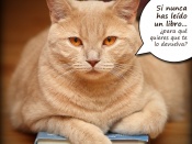 El gato tiene el libro