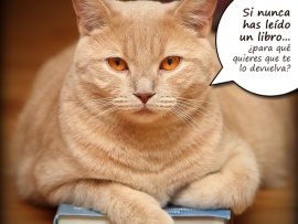 El gato tiene el libro (pulsa para ver)