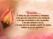 Gracias a todos