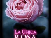 La única rosa, para ti