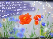 Lucha por tus ideales