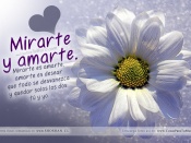 Mirarte y amarte