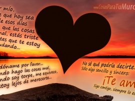 Perdón, pero te amo (pulsa para ver)