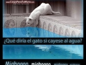 Qué diría el gato en el agua