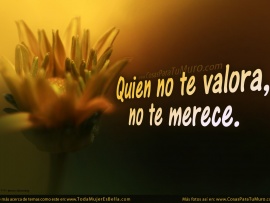 Quien no te valora (pulsa para ver)