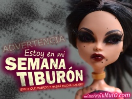 Semana tiburón (pulsa para ver)