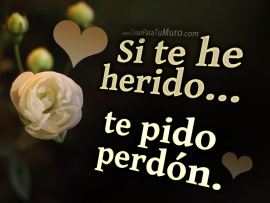 Si te he herido (pulsa para ver)