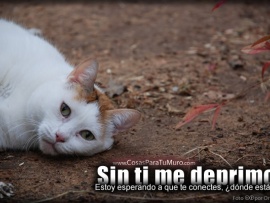 Sin ti me deprimo (click to view)