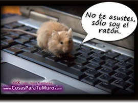 Soy el ratón (pulsa para ver)