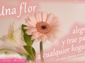 Una flor en casa