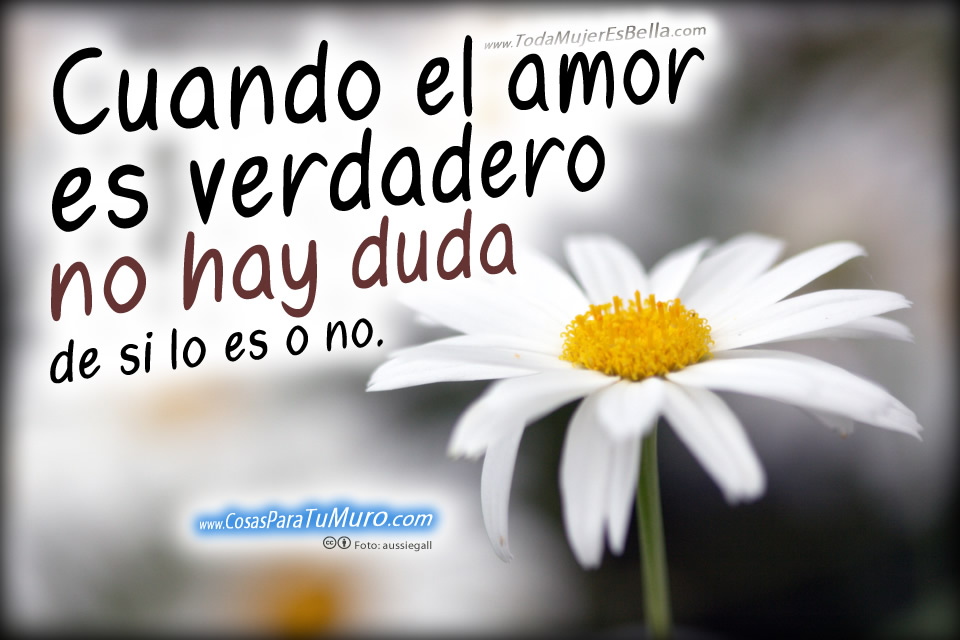 Amor sin dudas