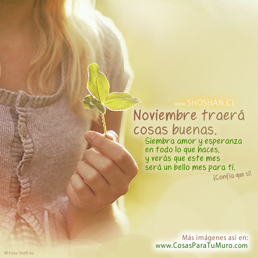 Bienvenido noviembre