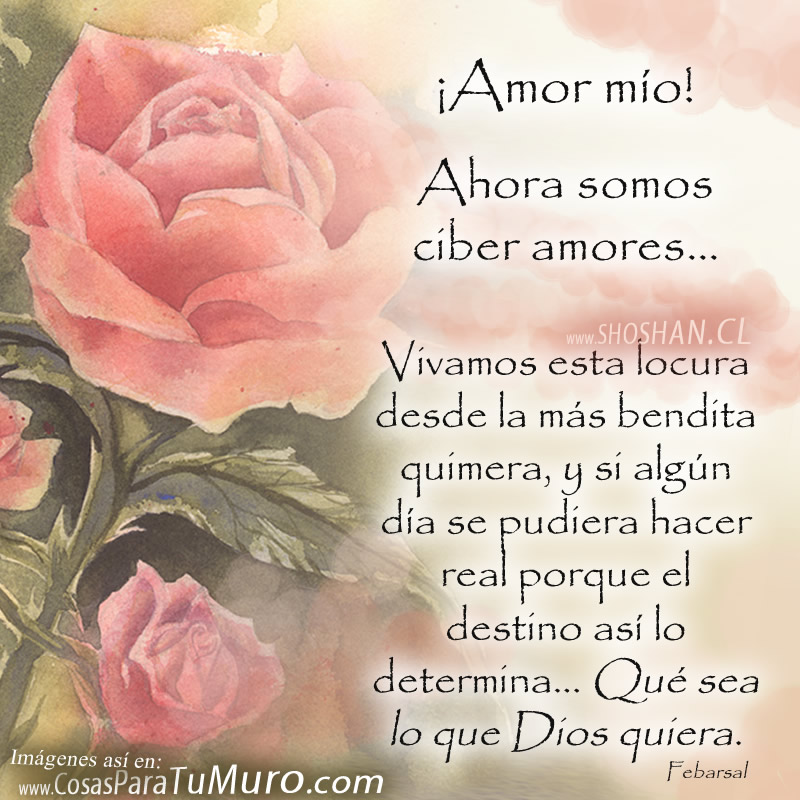 Ciber amores