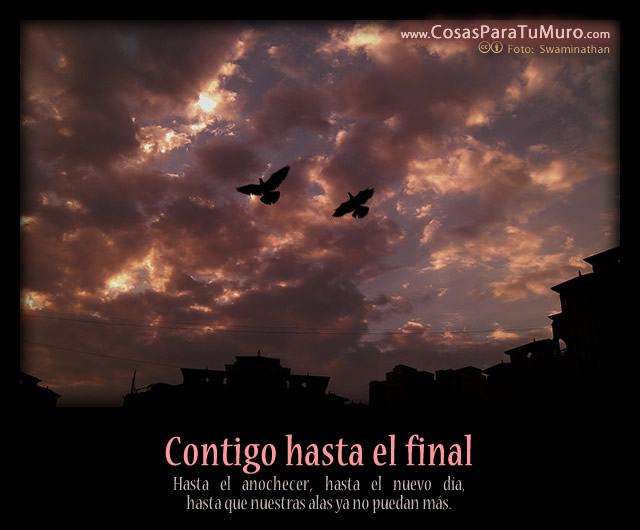 Contigo hasta el final