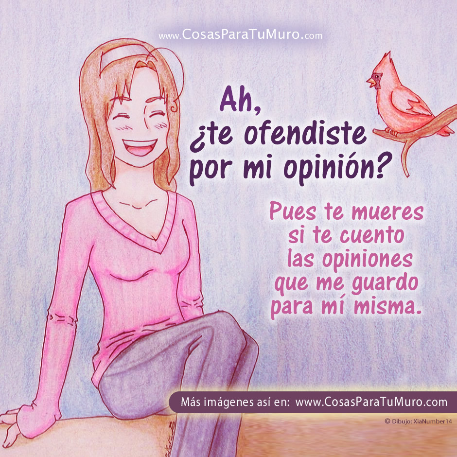 Es mi opinión