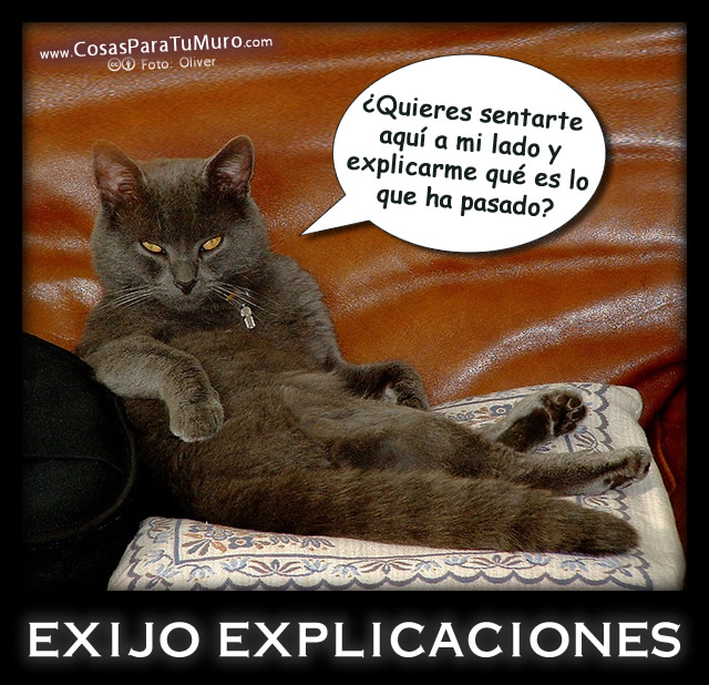 Exijo explicaciones