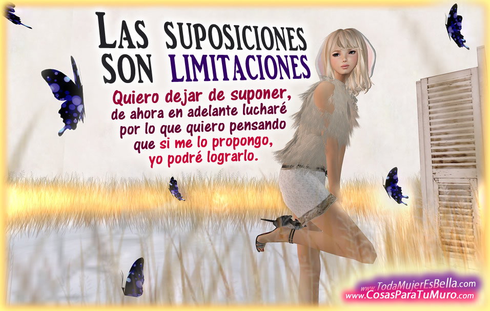 Las suposiciones limitan