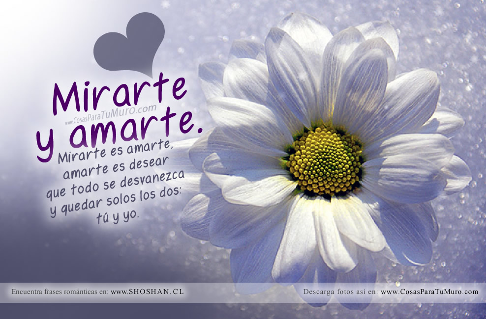 Mirarte y amarte