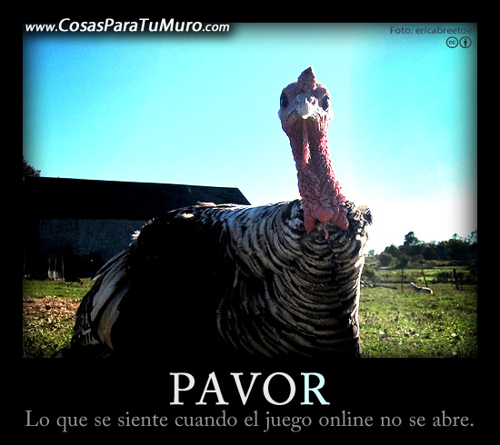 PAVOR