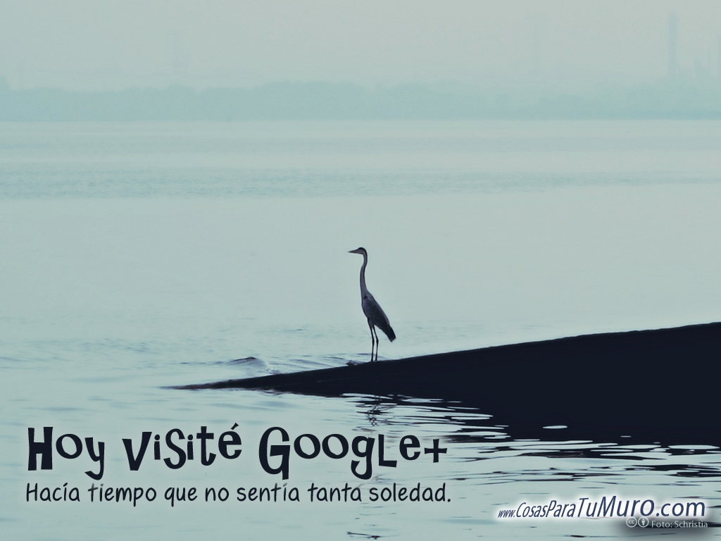 Soledad en Google+