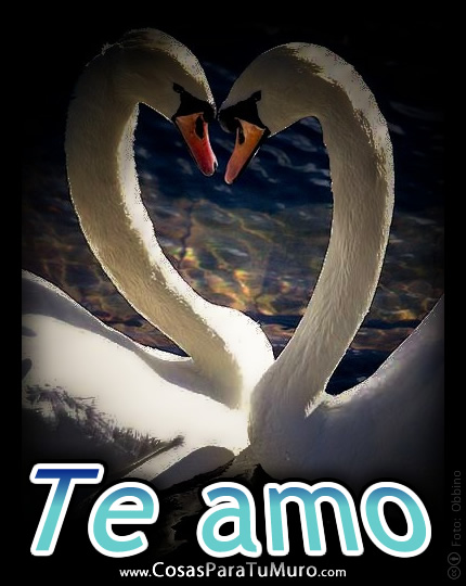 Te amo