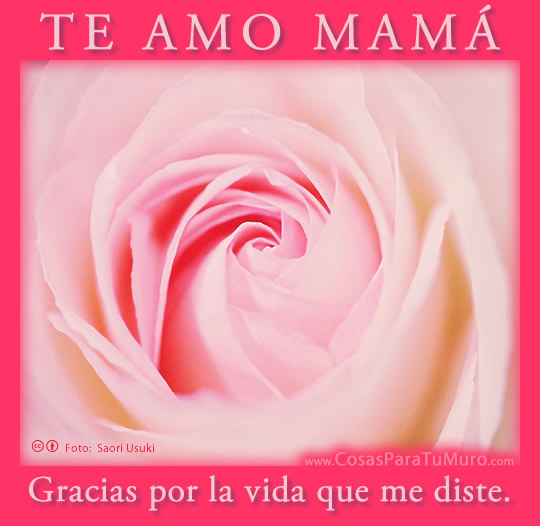 Te amo mamá