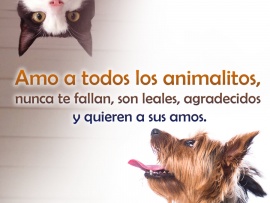 Amo a todos los animalitos (pulsa para ver)