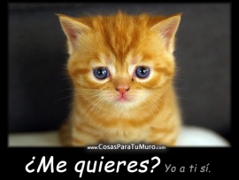 Me quieres? (pulsa para ver)