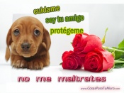 No me maltrates