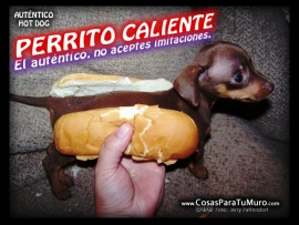 Perrito caliente (pulsa para ver)