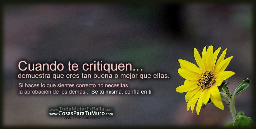 Cuando te critiquen...