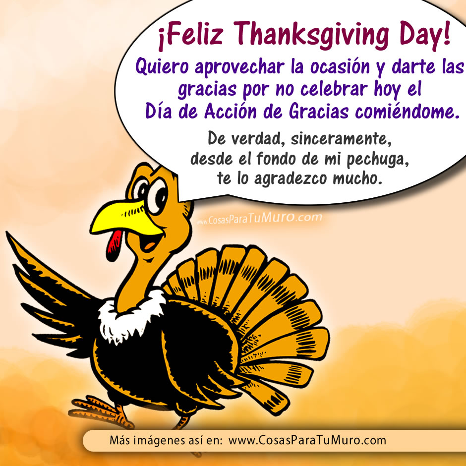 Feliz Thanksgiving day