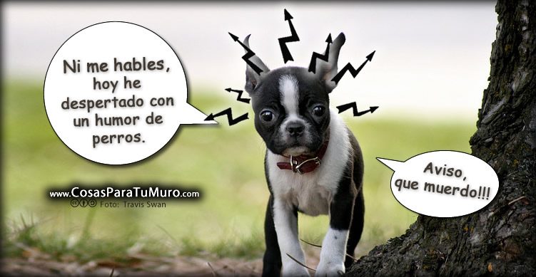 Ni me hables