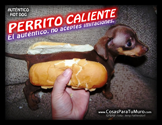 Perrito caliente