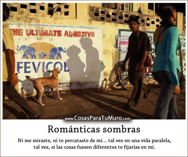 Románticas sombras