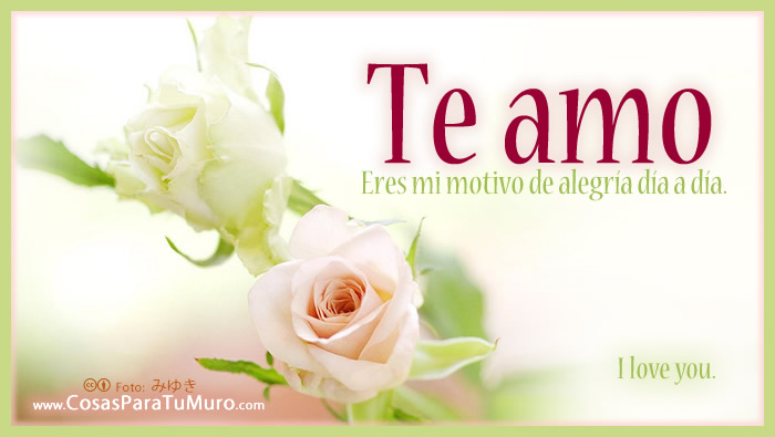 Te amo